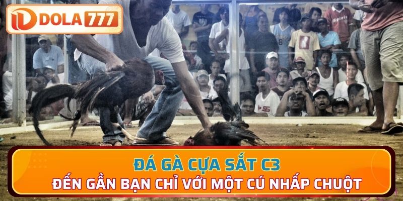 Đá gà cựa sắt C3 đến gần bạn chỉ với một cú nhấp chuột