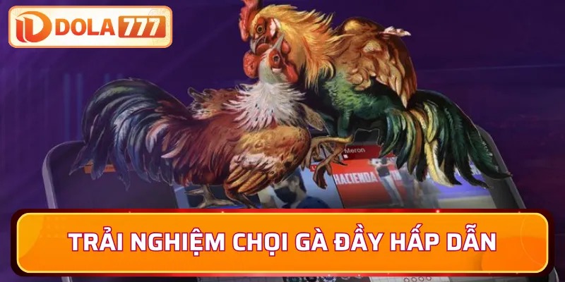 Trải nghiệm chọi gà cựa sắt đầy hấp dẫn